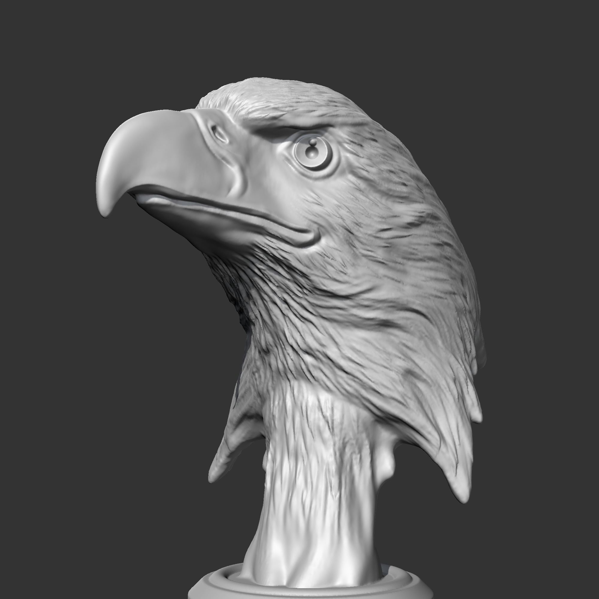 Bald Eagle Head AM07 3D print model 3D print model_4