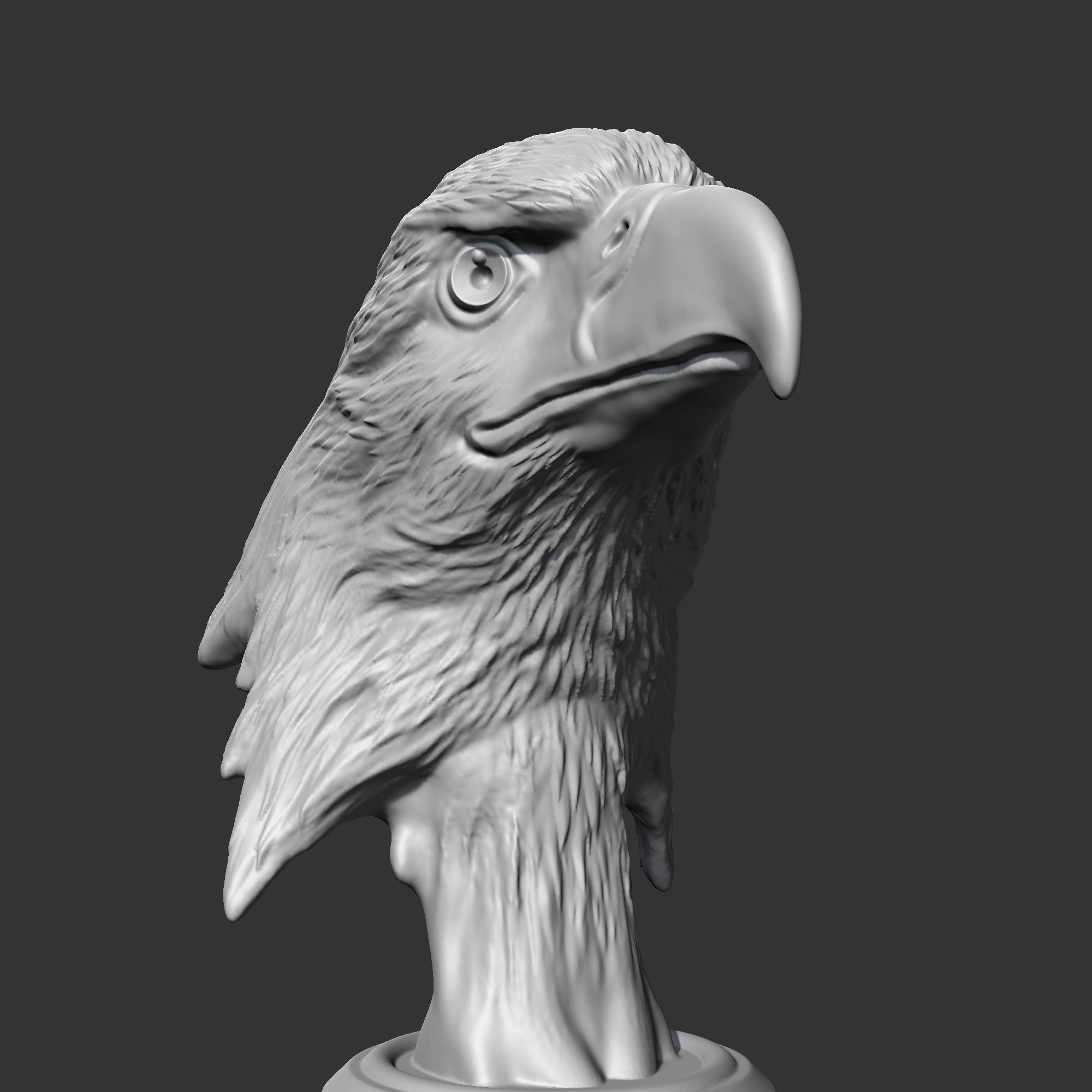 Bald Eagle Head AM07 3D print model 3D print model_2