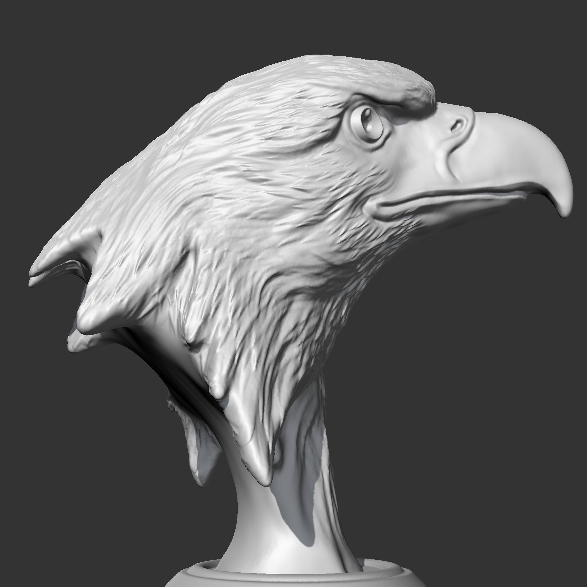 Bald Eagle Head AM07 3D print model 3D print model_8