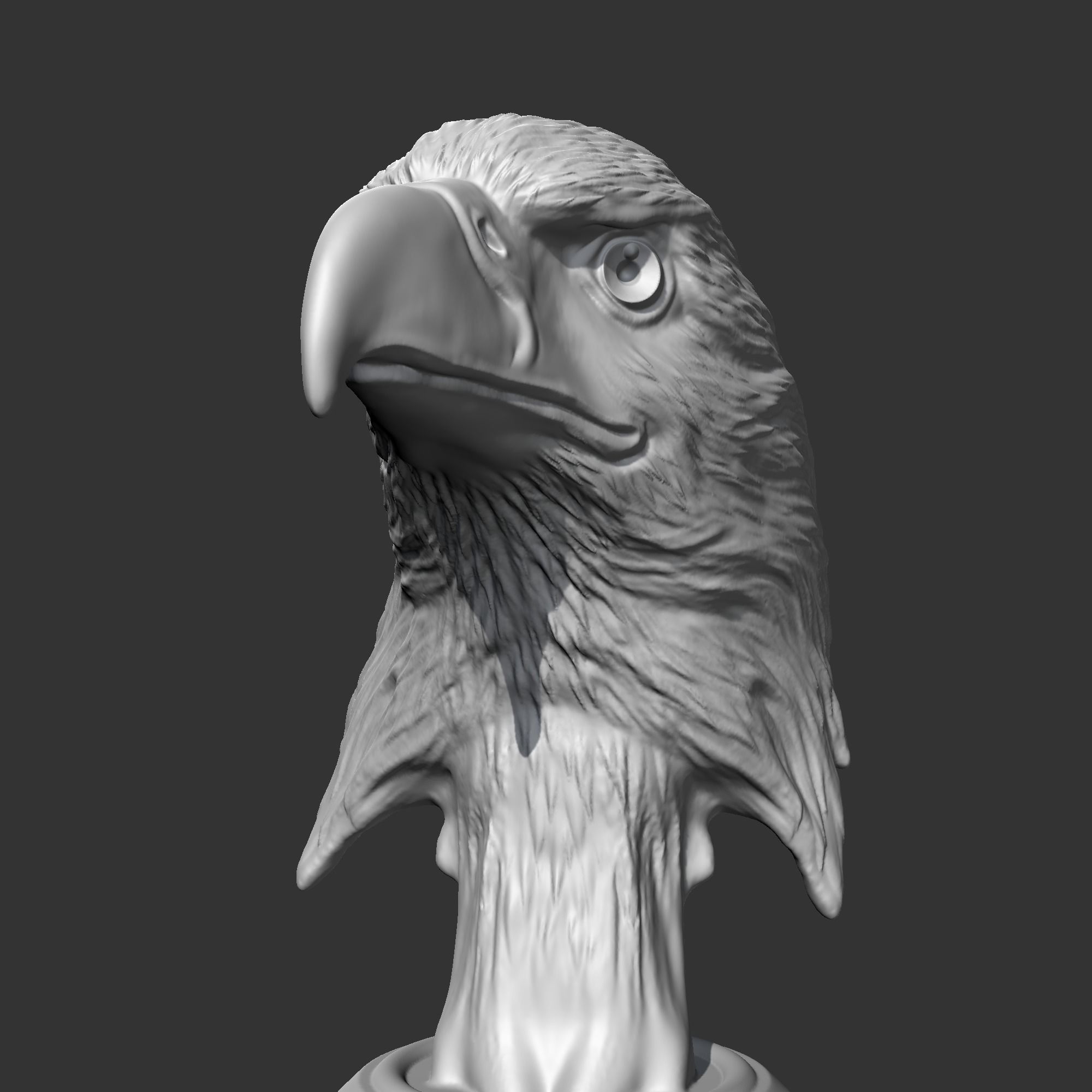 Bald Eagle Head AM07 3D print model 3D print model_3