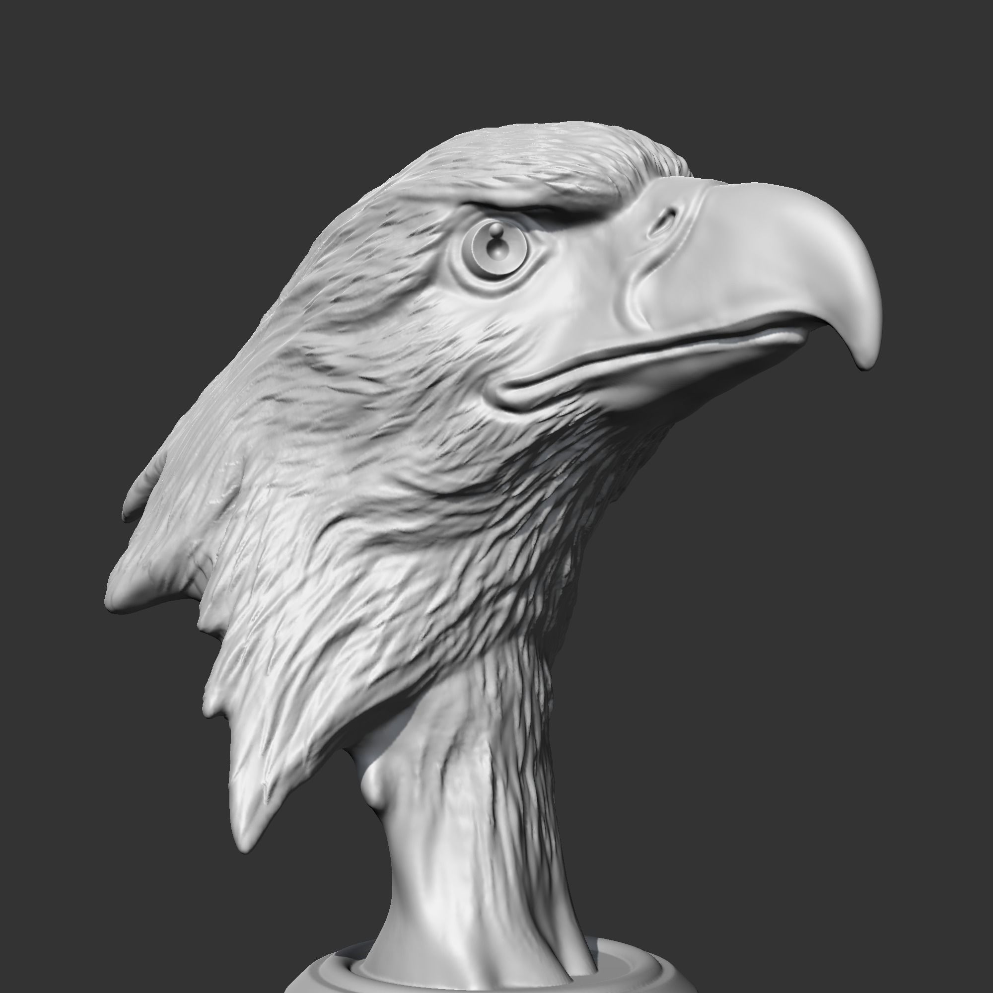 Bald Eagle Head AM07 3D print model 3D print model_1