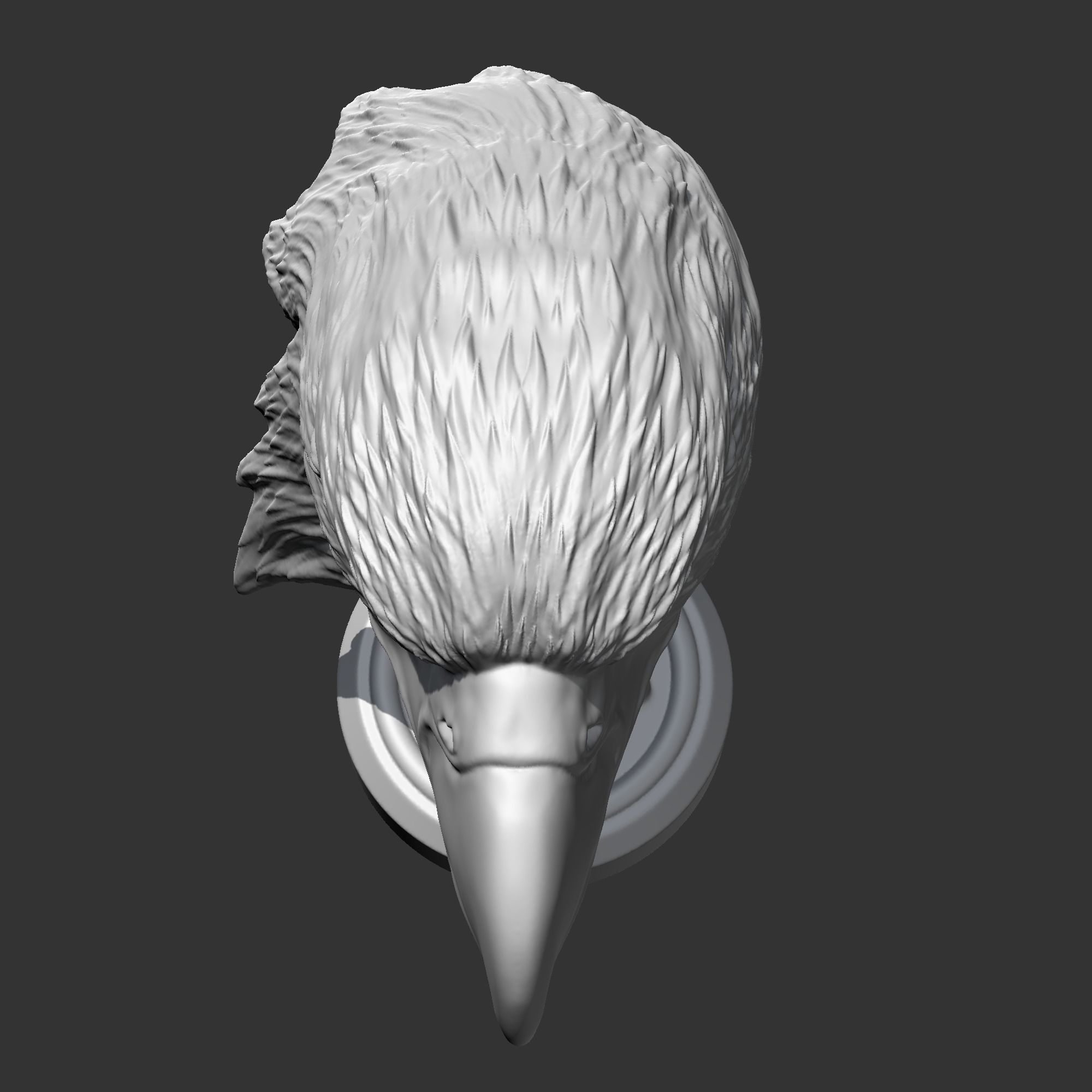 Bald Eagle Head AM07 3D print model 3D print model_9