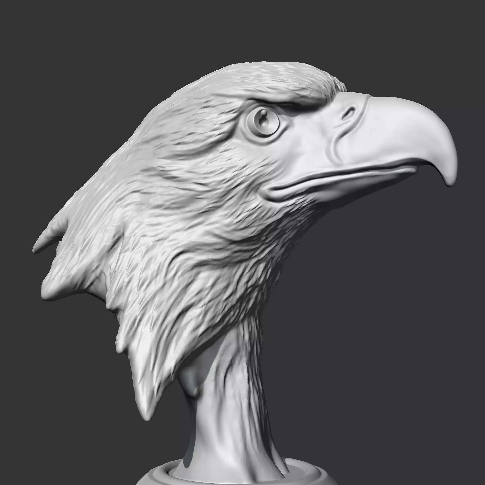Bald Eagle Head AM07 3D print model 3D print model_0