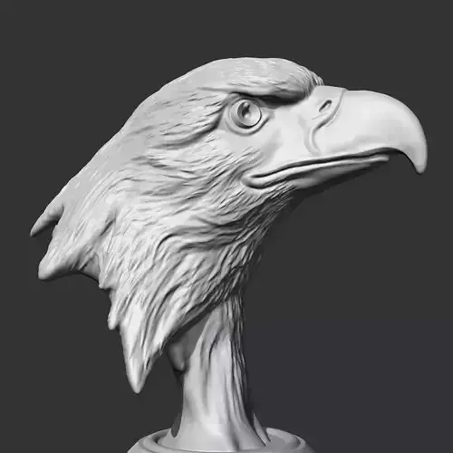 Bald Eagle Head AM07 3D print model 3D print model Bald Eagle Head AM07 3D print model 3D print model