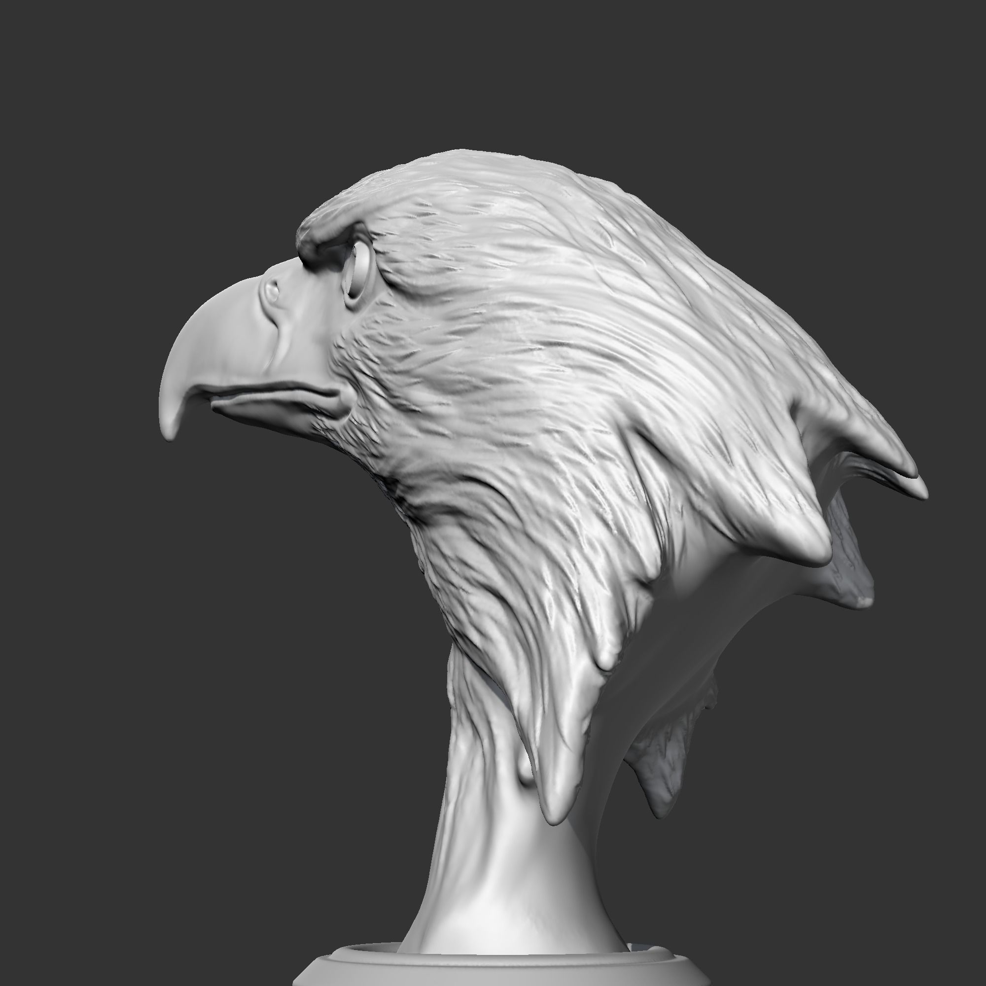 Bald Eagle Head AM07 3D print model 3D print model_6