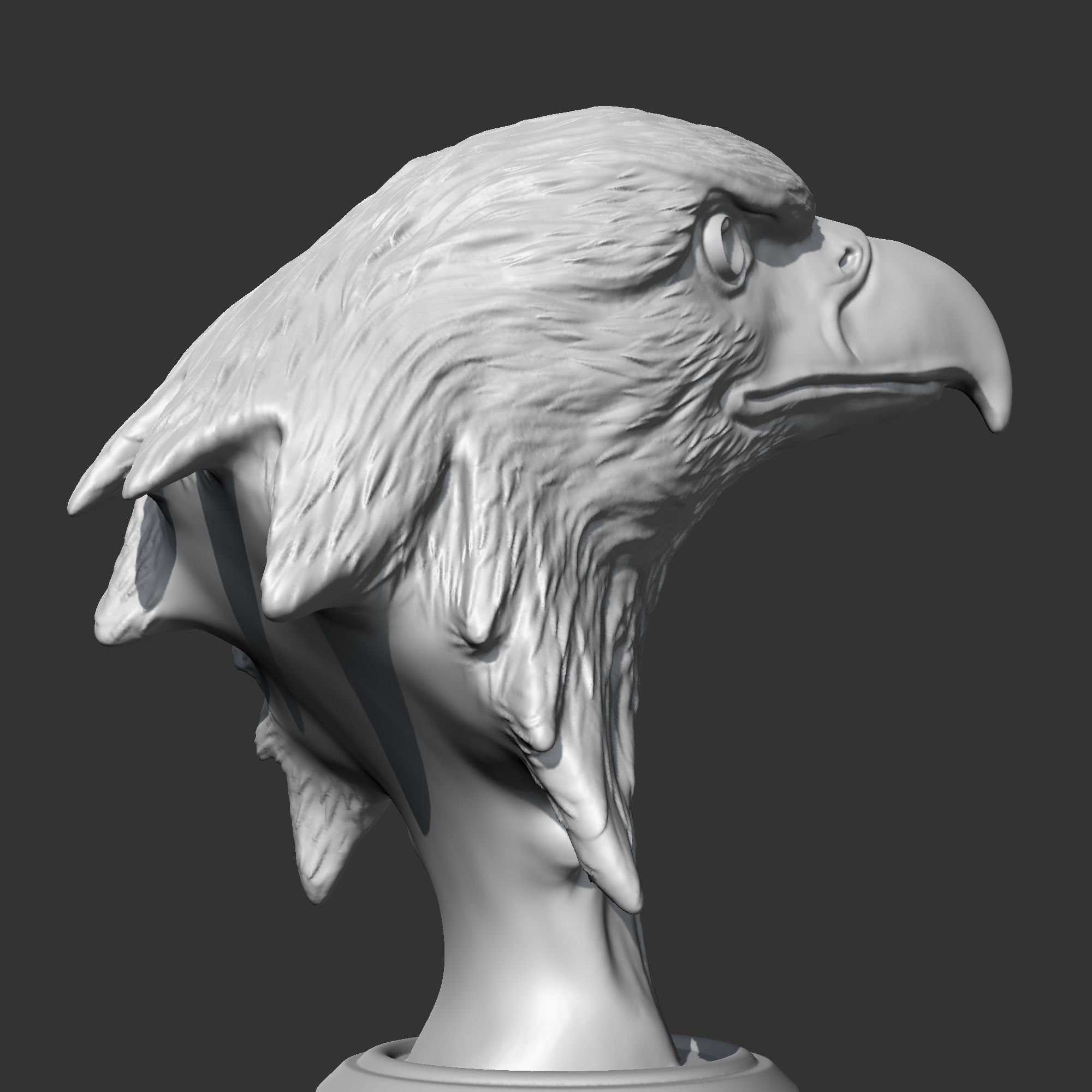 Bald Eagle Head AM07 3D print model 3D print model_7