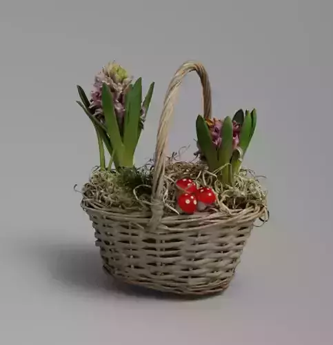 hyacinth in a basket nature