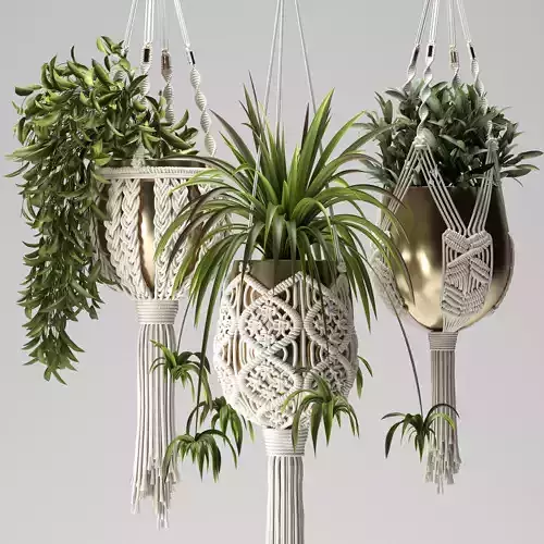 Macrame Plants Hanger 3D model