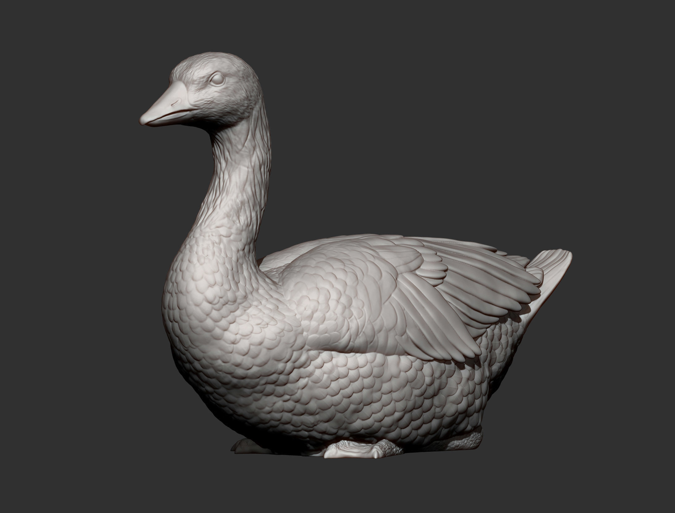 snow goose 3D print model_8