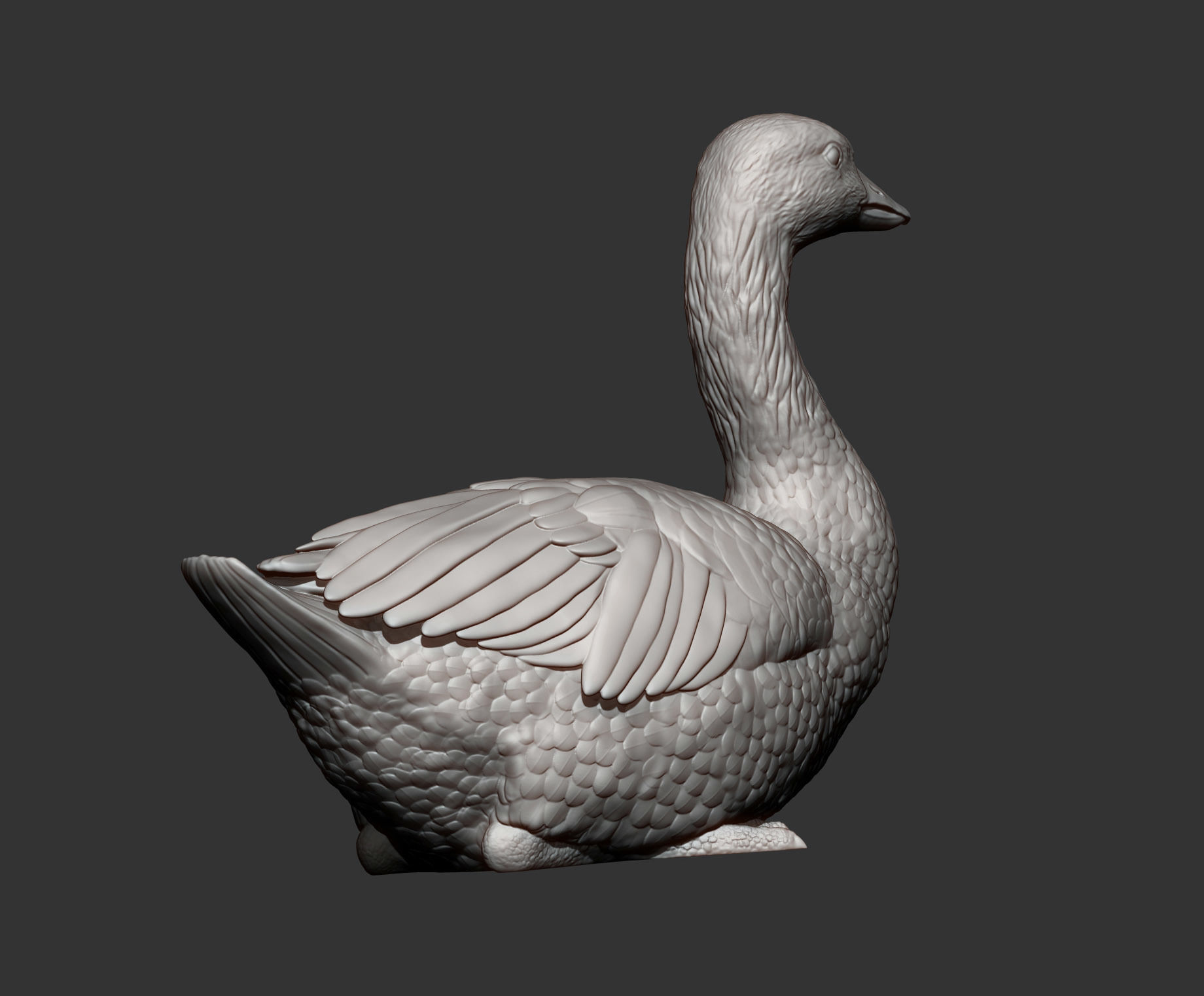 snow goose 3D print model_11