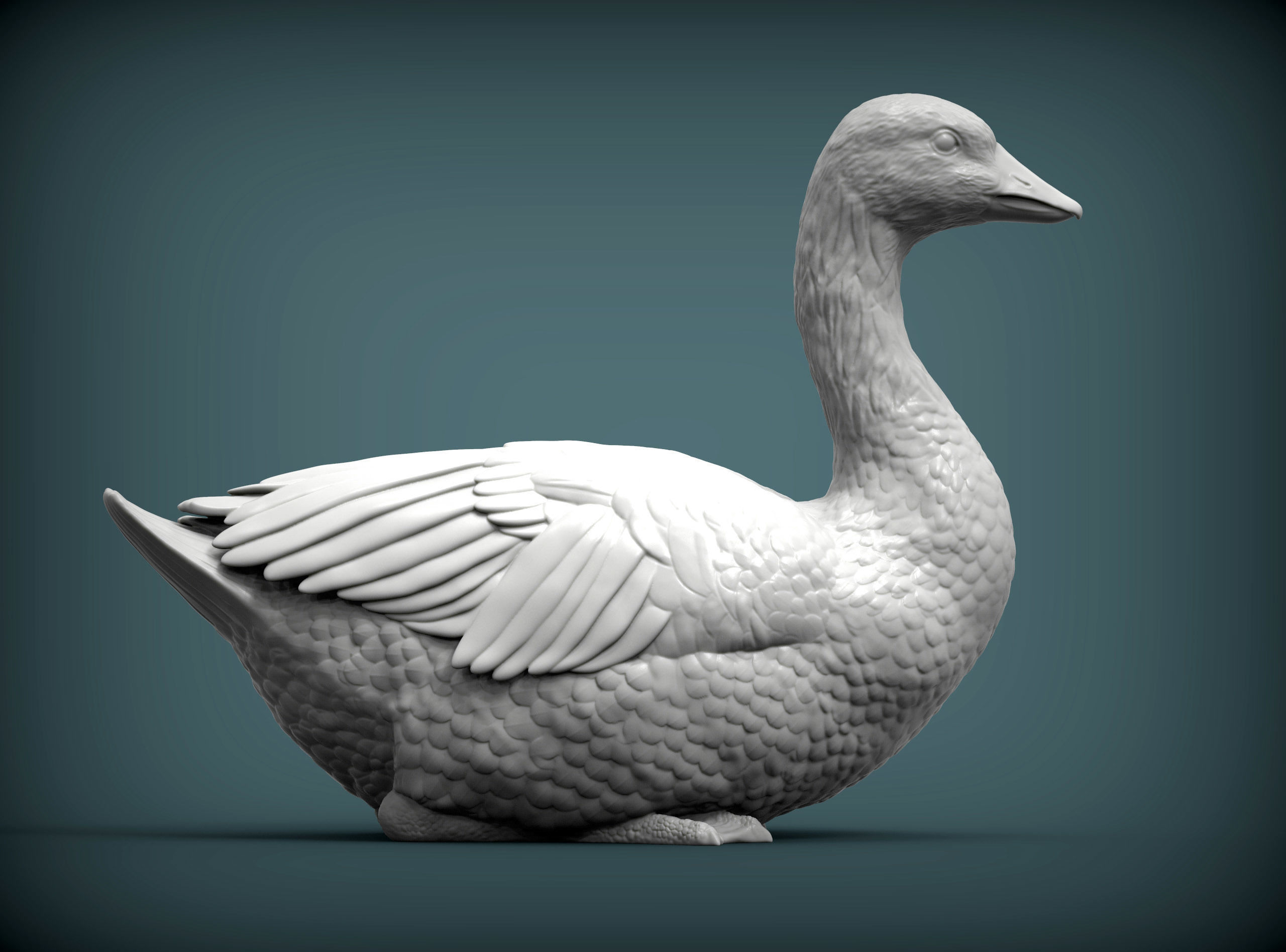 snow goose 3D print model_2