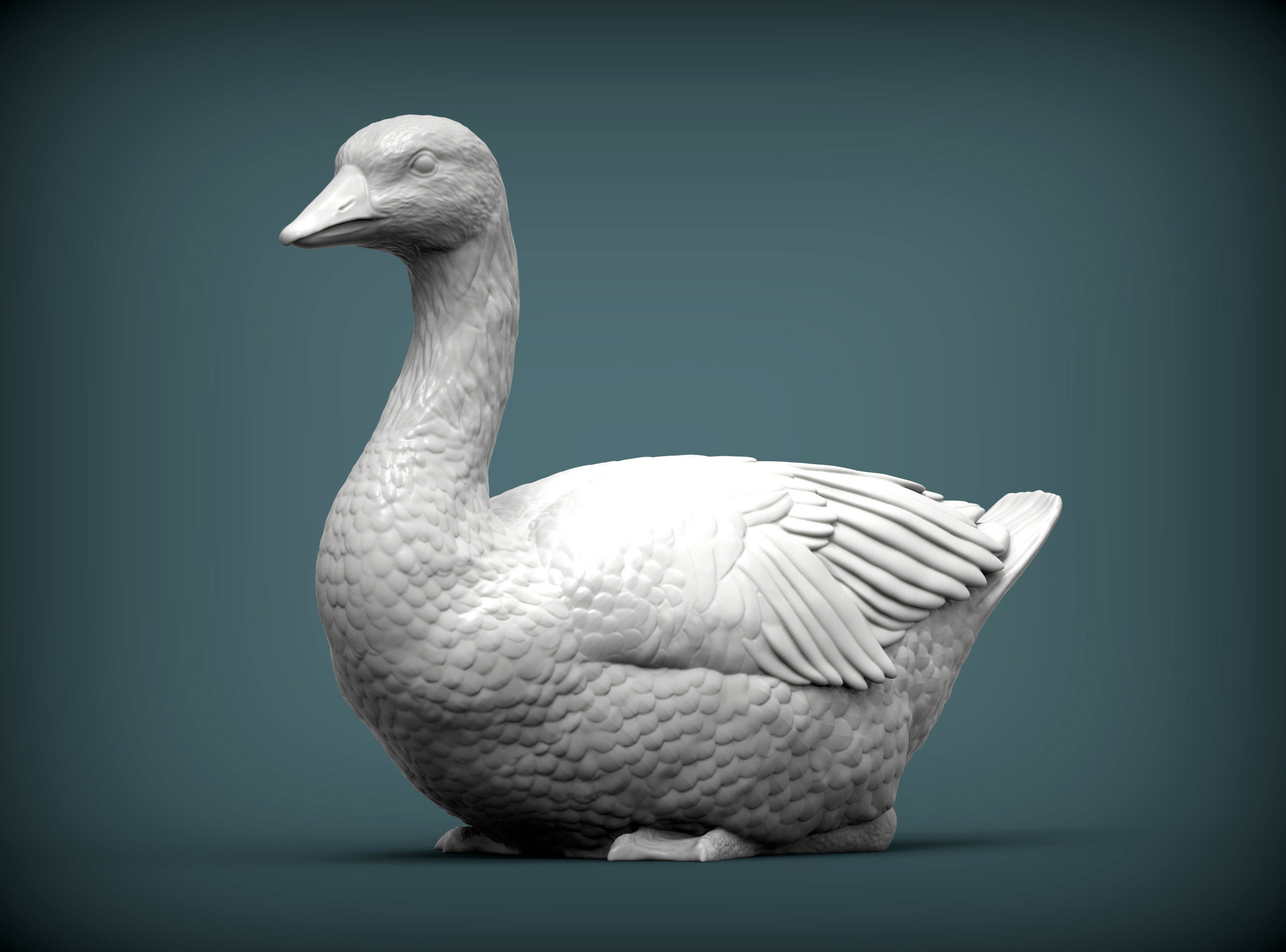snow goose 3D print model_3