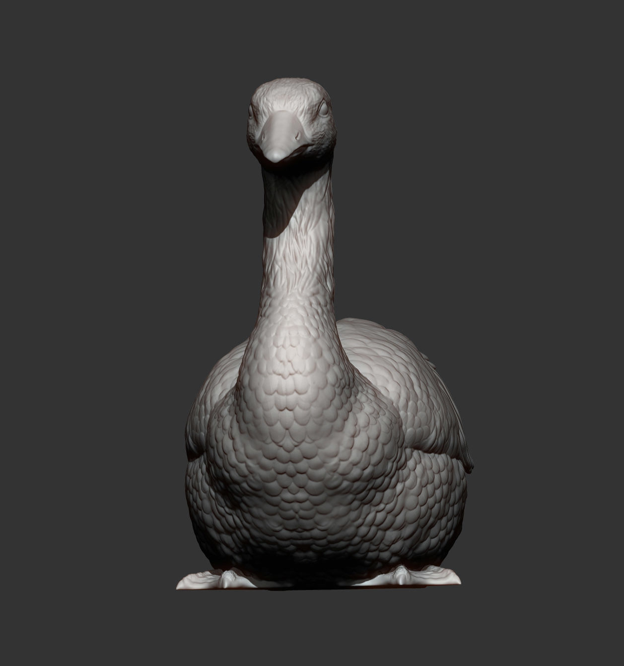 snow goose 3D print model_10