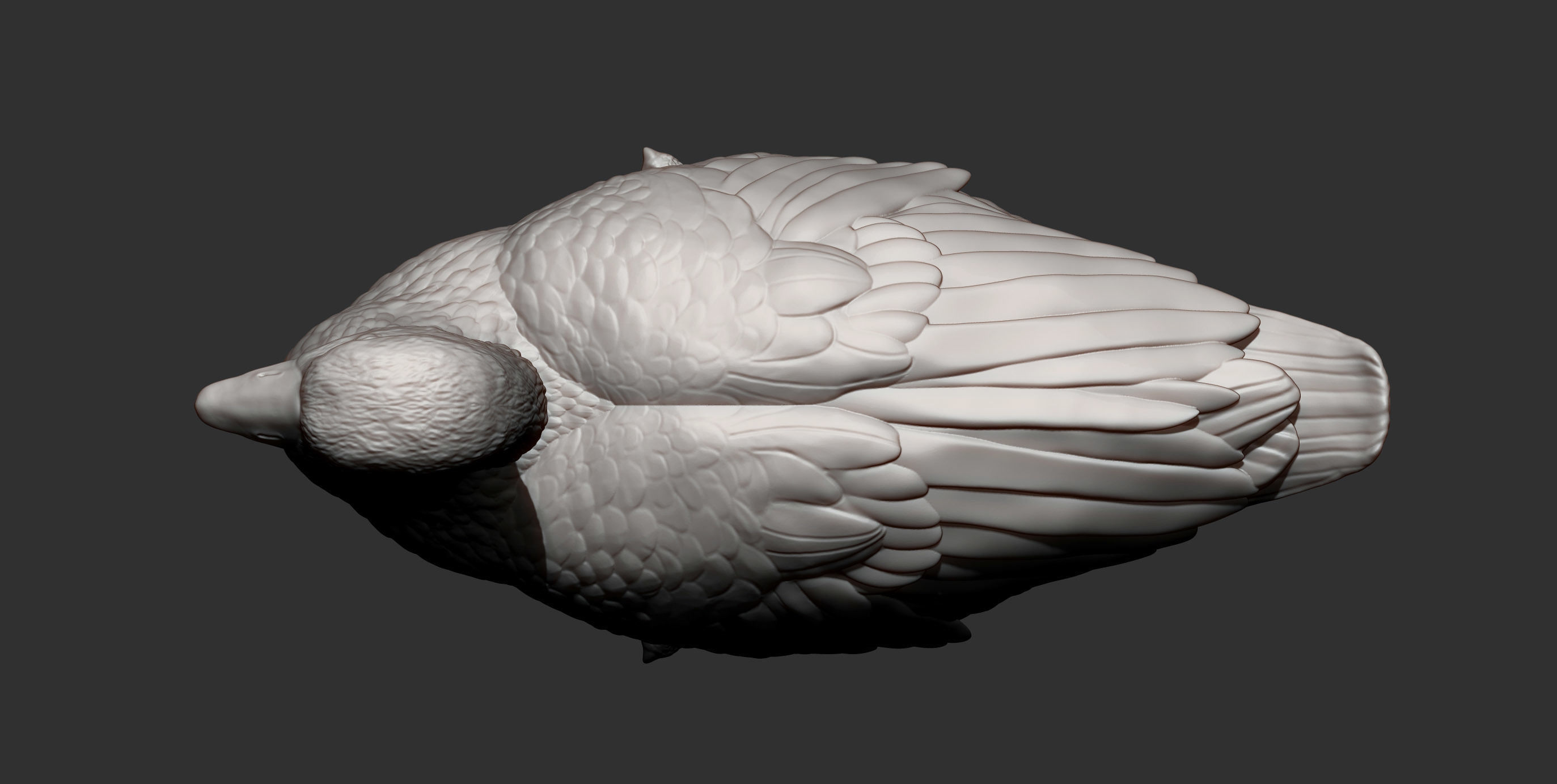 snow goose 3D print model_6