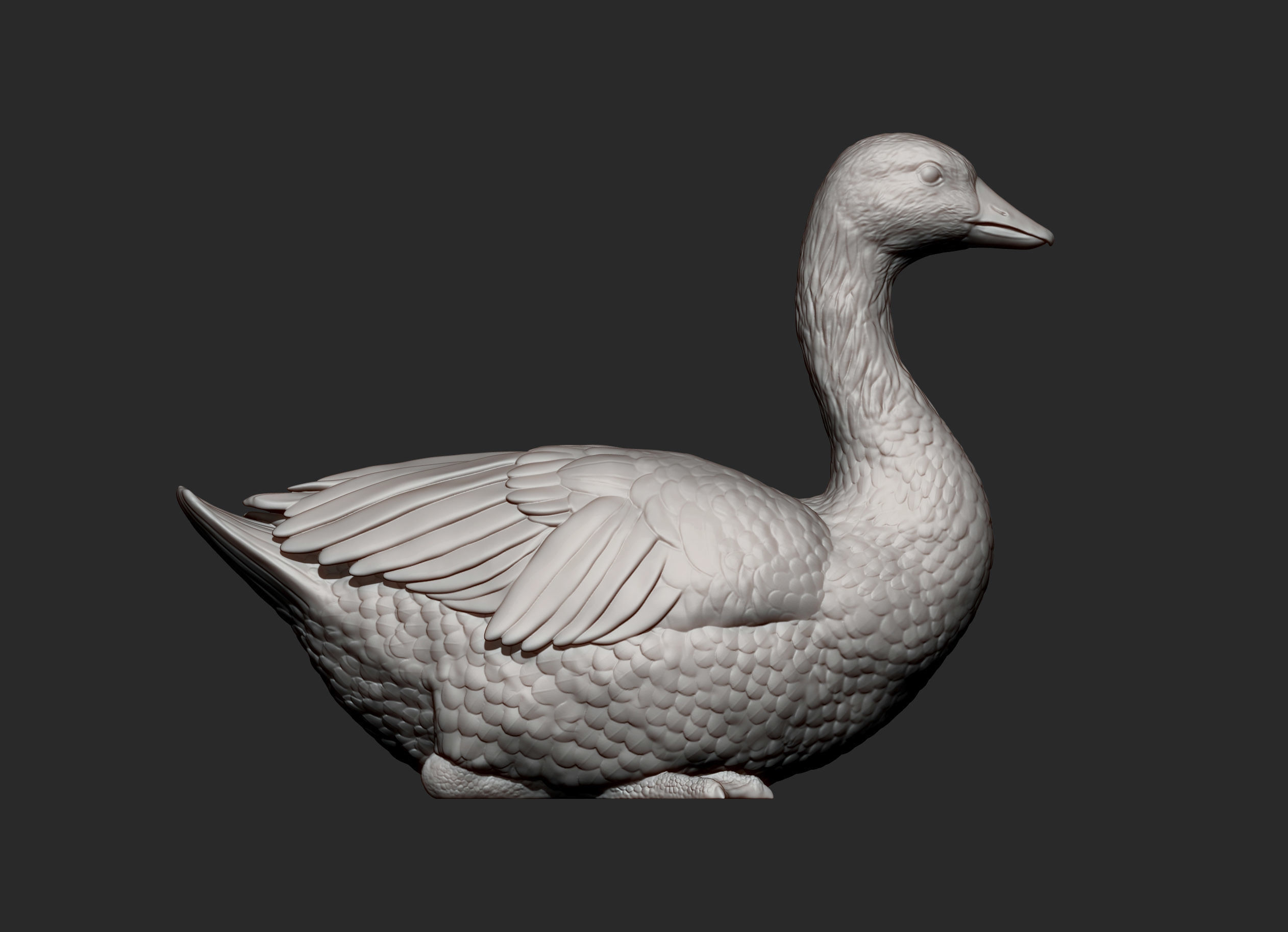 snow goose 3D print model_7