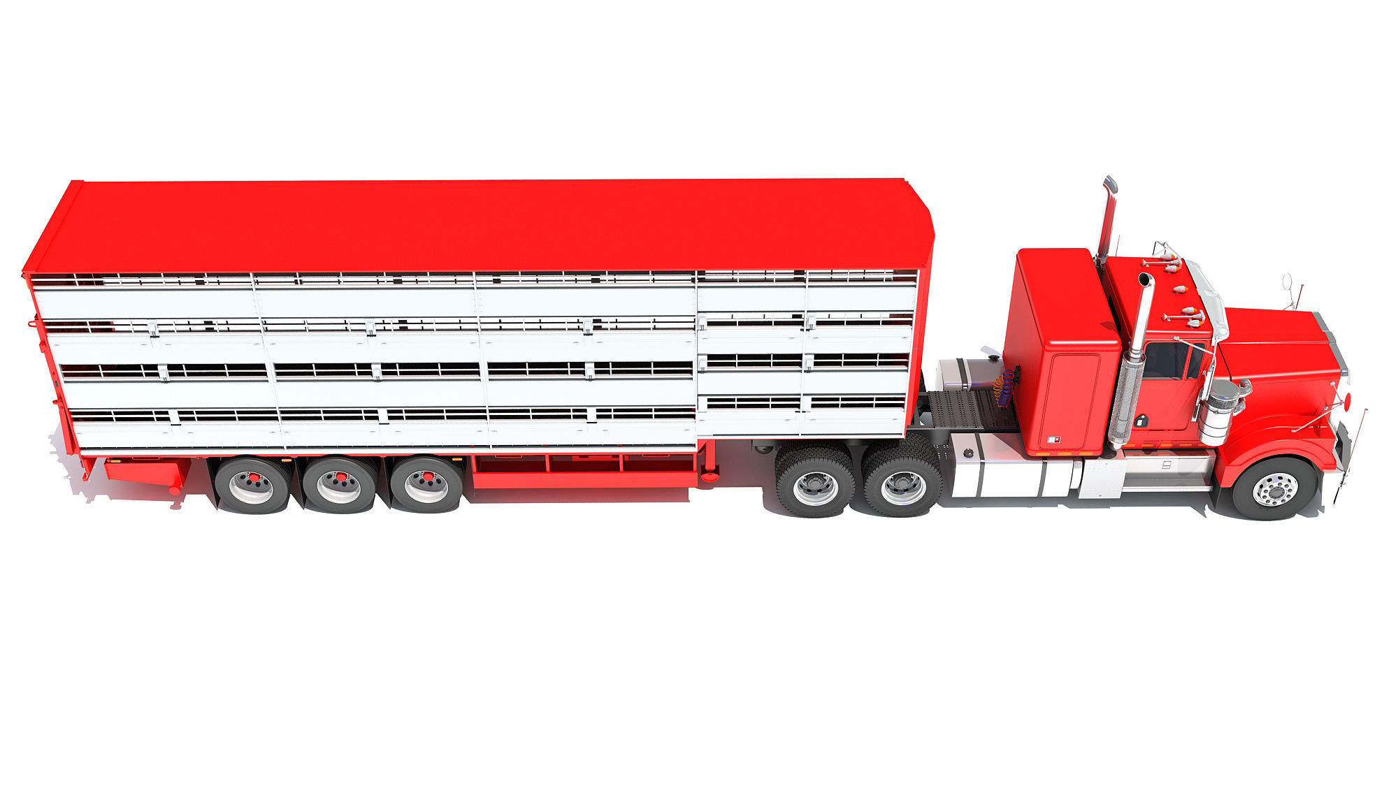 Animal Transporter 3D model_6