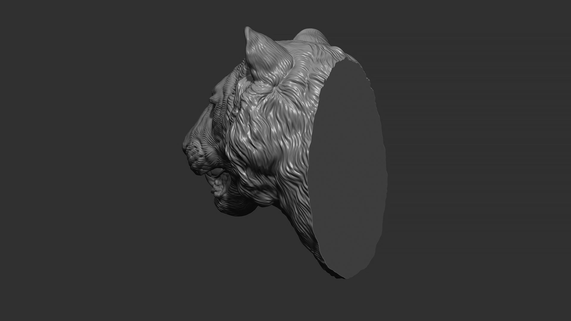 Tiger bust 3D print model_4