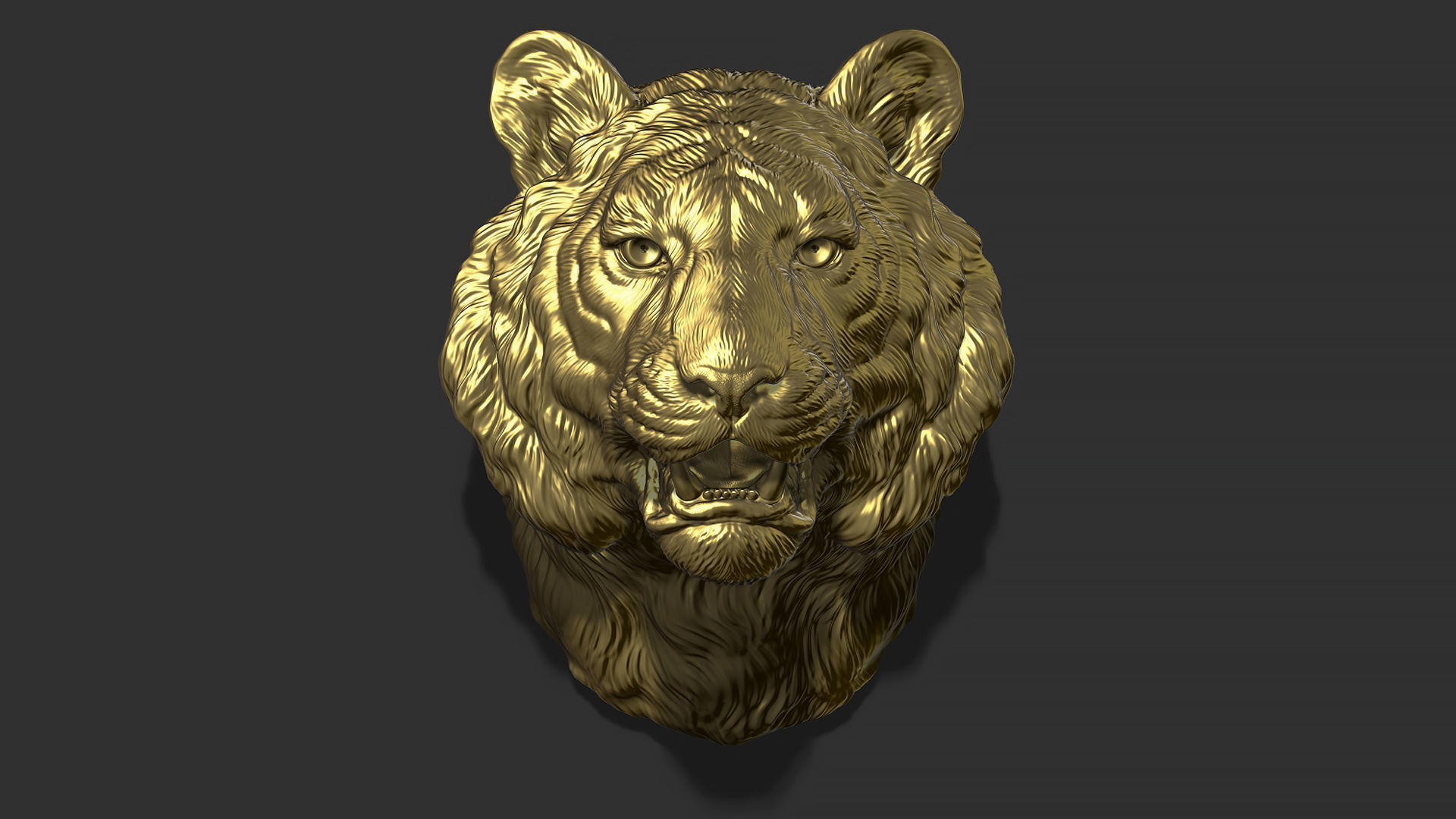 Tiger bust 3D print model_12