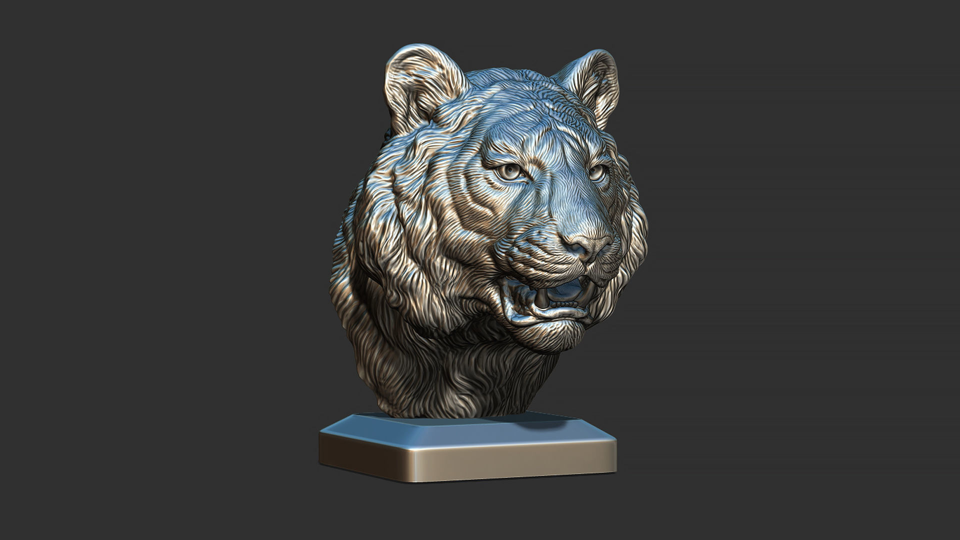 Tiger bust 3D print model_10