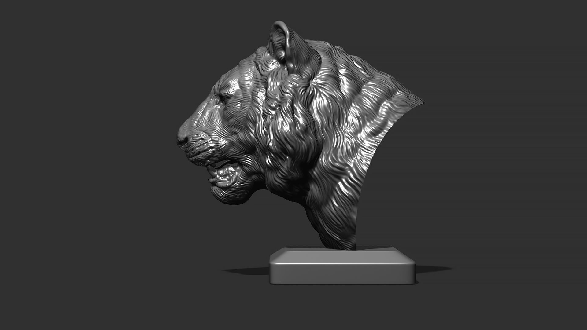 Tiger bust 3D print model_14