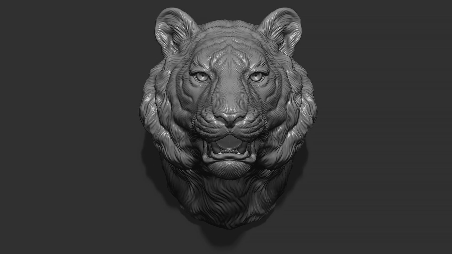 Tiger bust 3D print model_7