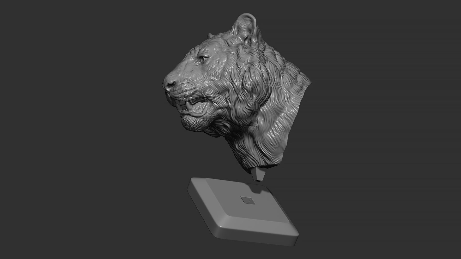 Tiger bust 3D print model_16