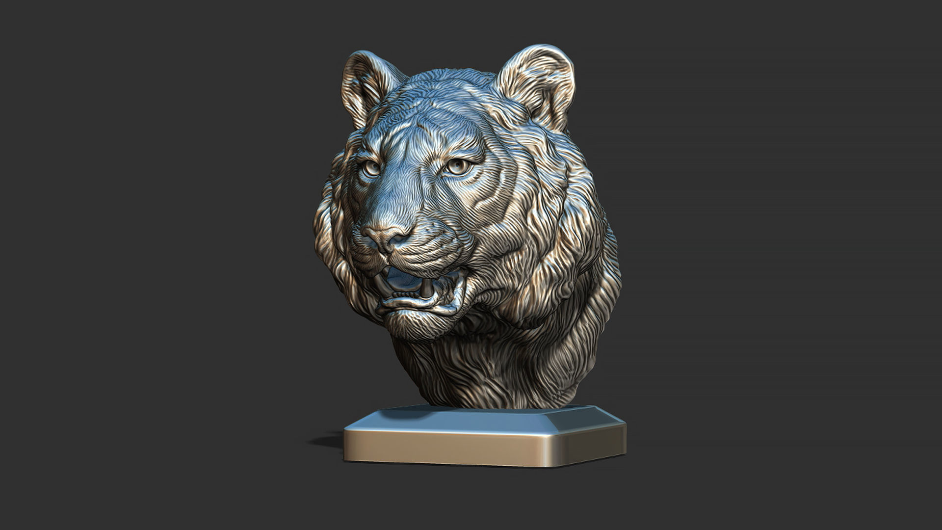 Tiger bust 3D print model_9
