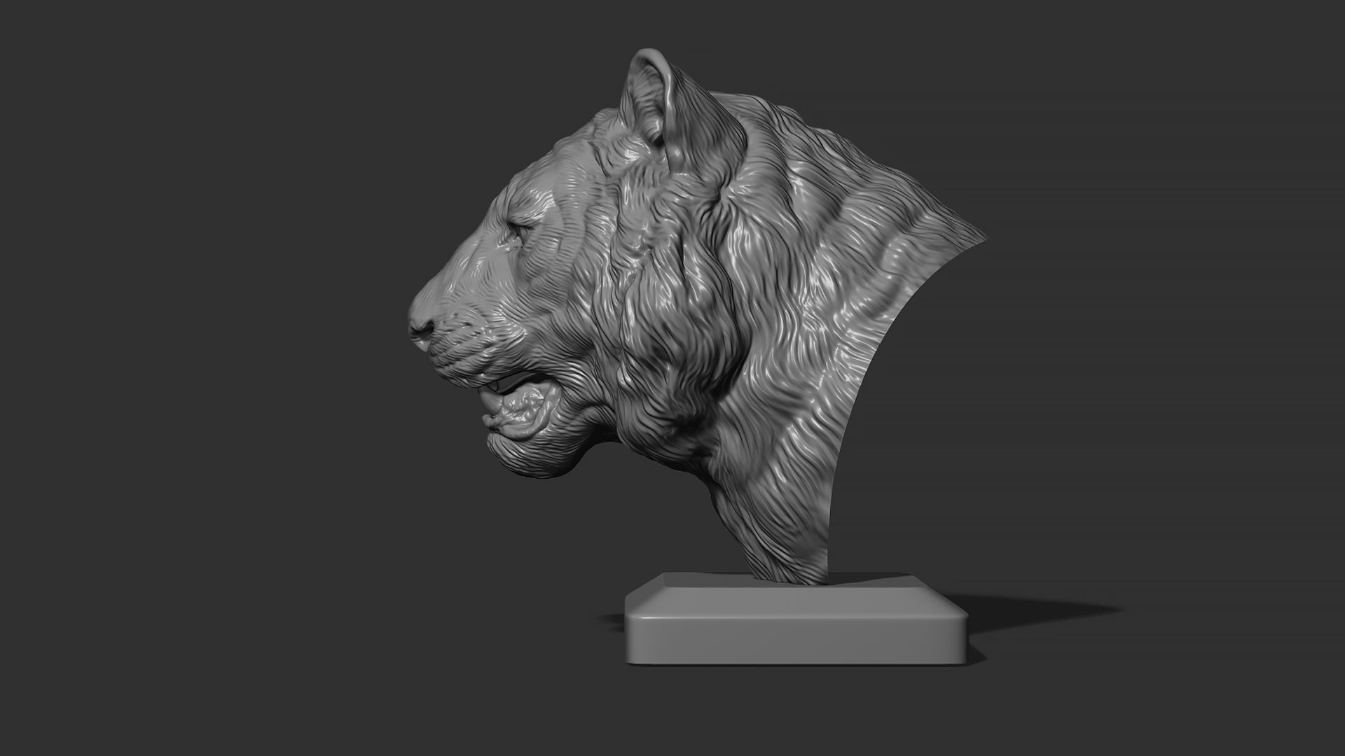 Tiger bust 3D print model_3