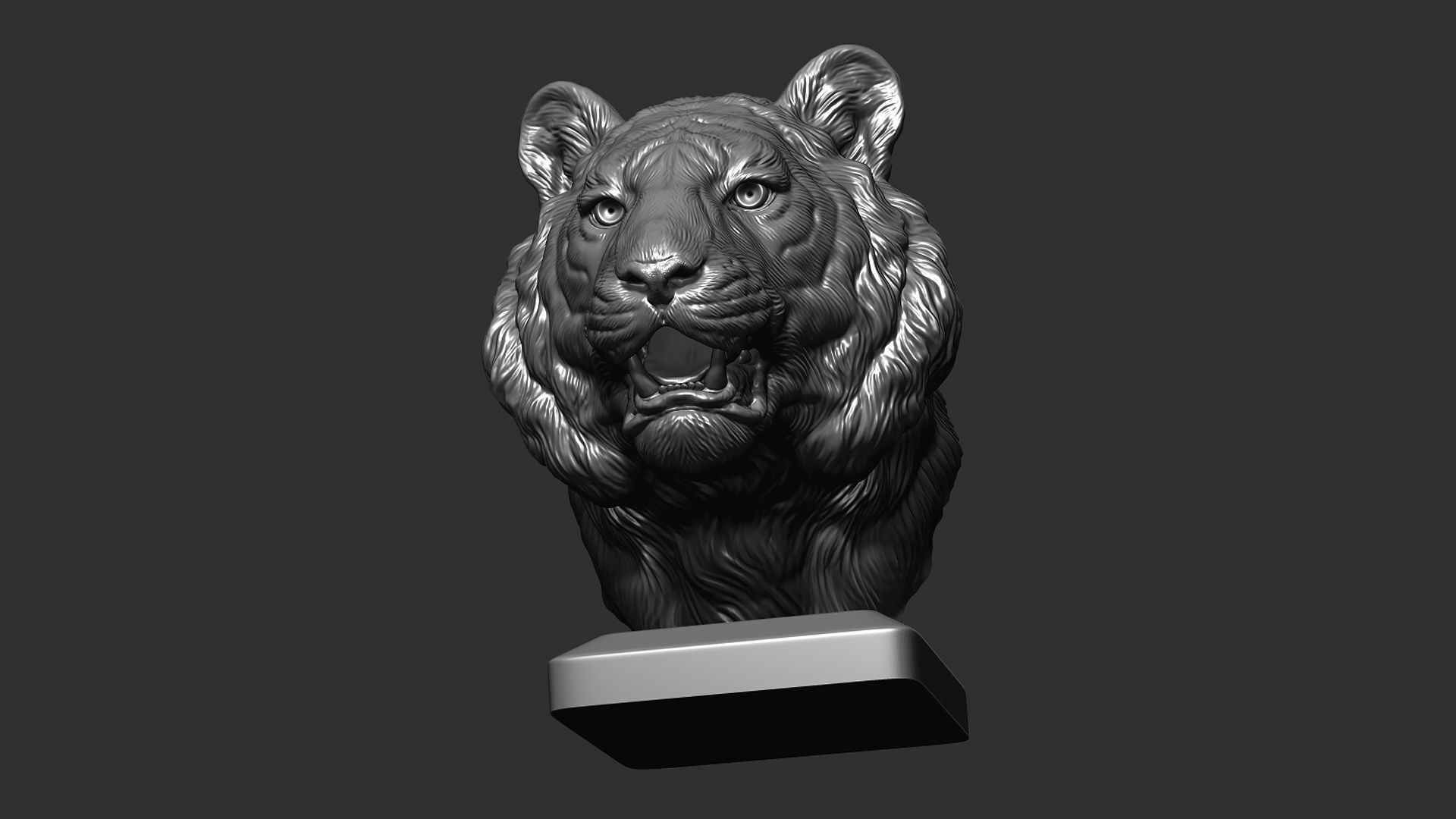 Tiger bust 3D print model_15