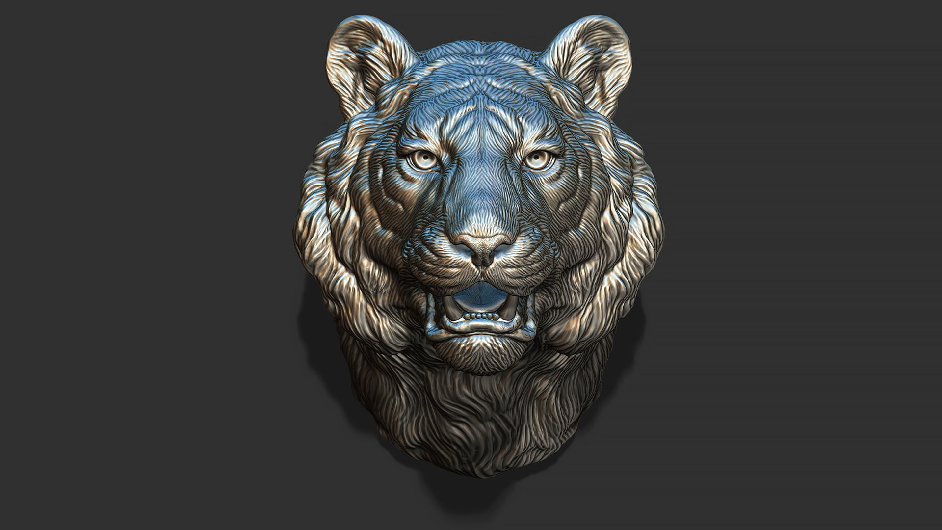 Tiger bust 3D print model_11
