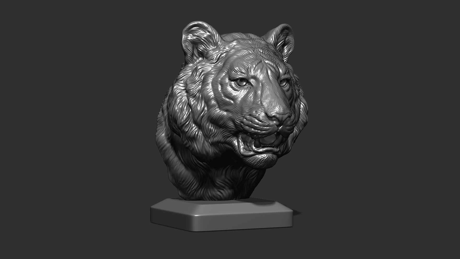 Tiger bust 3D print model_13