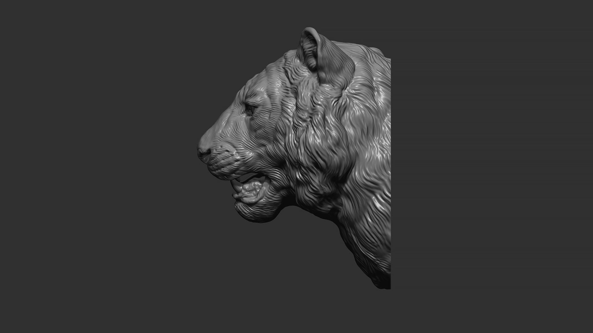 Tiger bust 3D print model_5