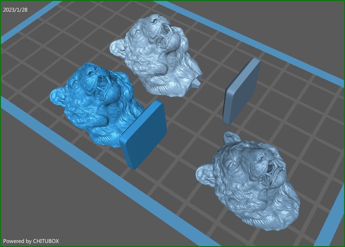 Tiger bust 3D print model_18