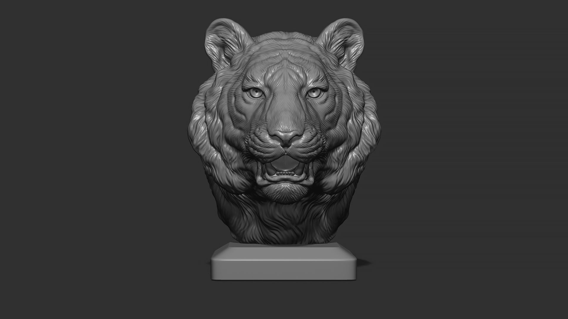 Tiger bust 3D print model_8