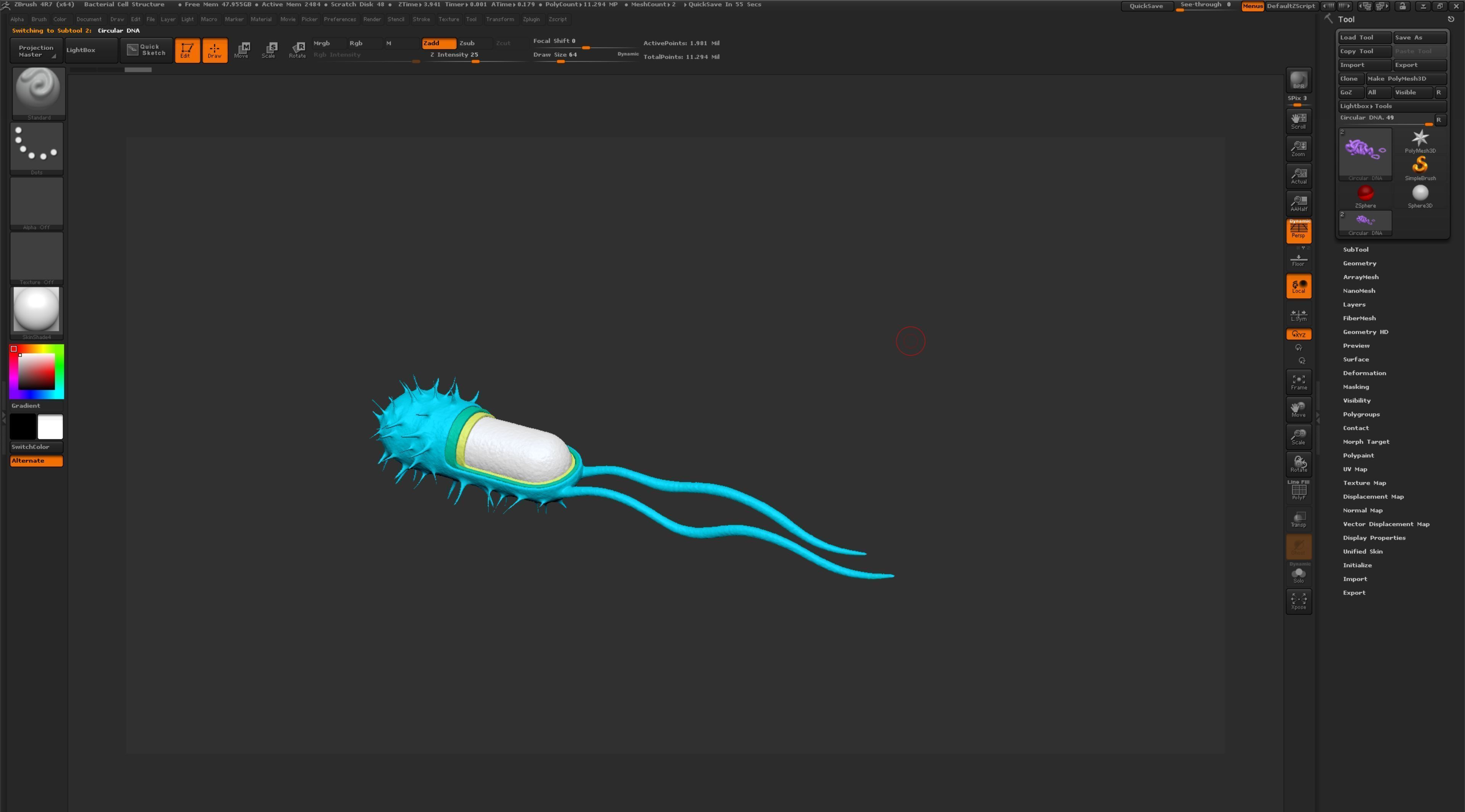 Bacterial Cell Structure 3D model_11
