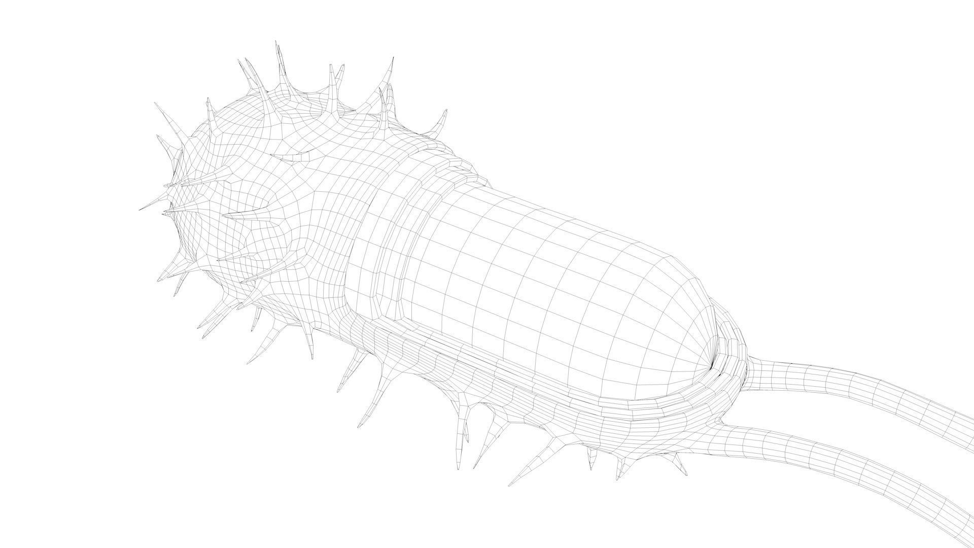 Bacterial Cell Structure 3D model_13