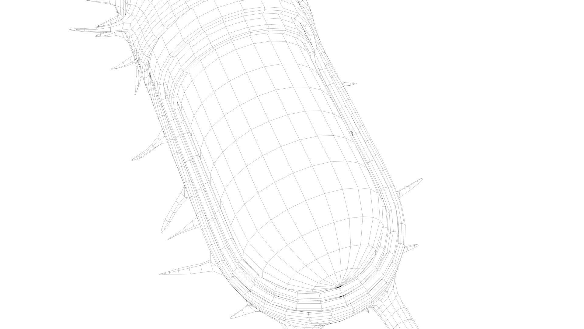 Bacterial Cell Structure 3D model_15