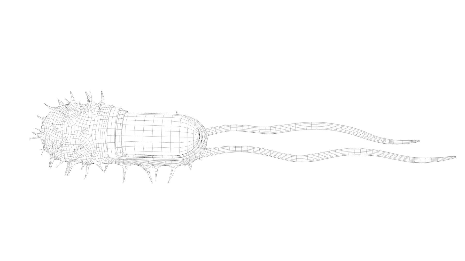 Bacterial Cell Structure 3D model_18