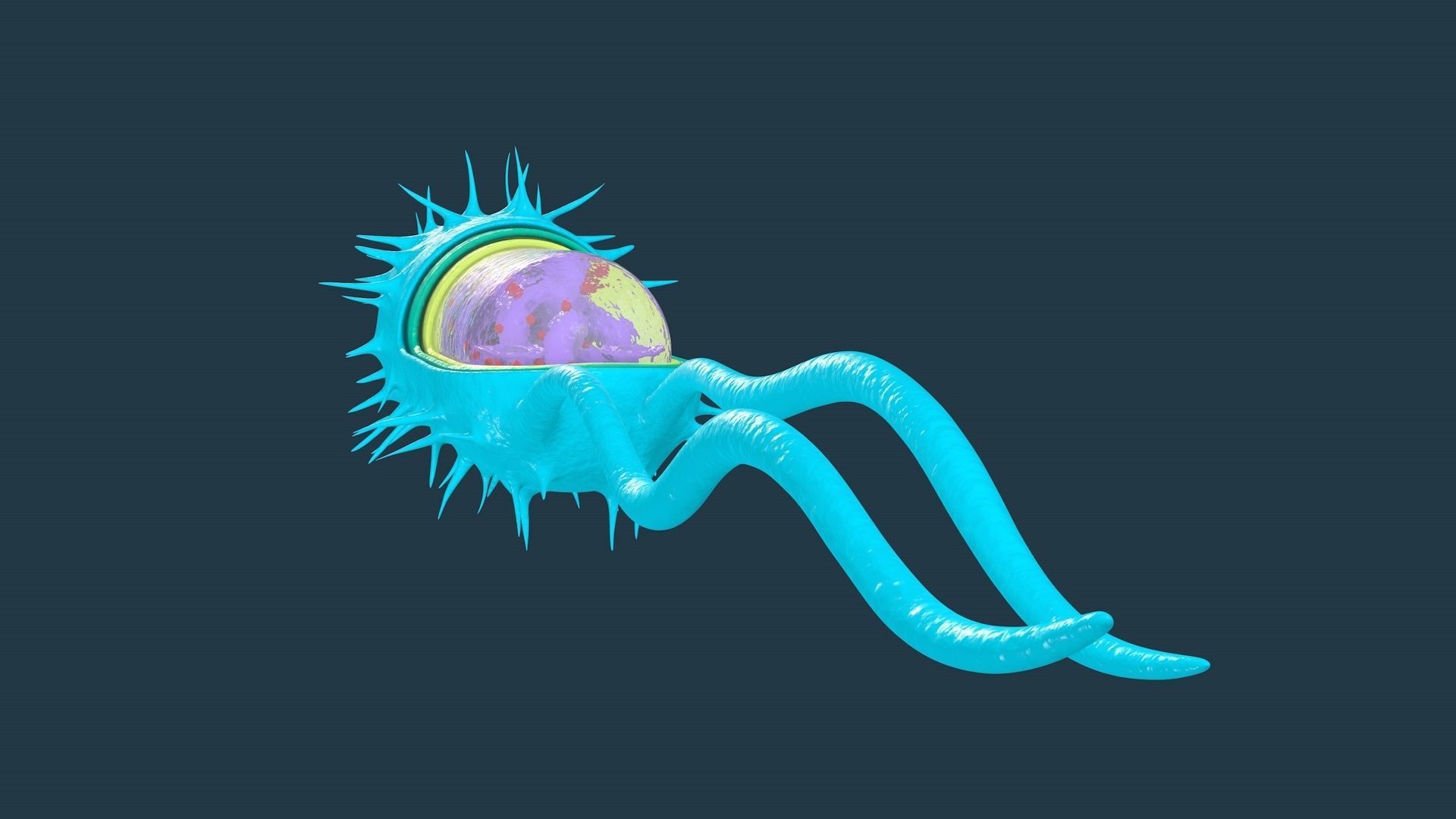 Bacterial Cell Structure 3D model_2