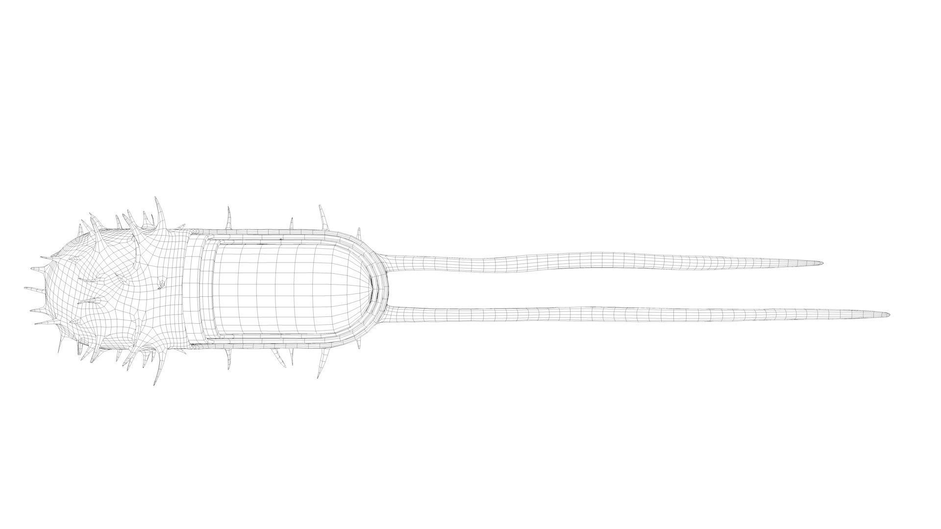 Bacterial Cell Structure 3D model_19