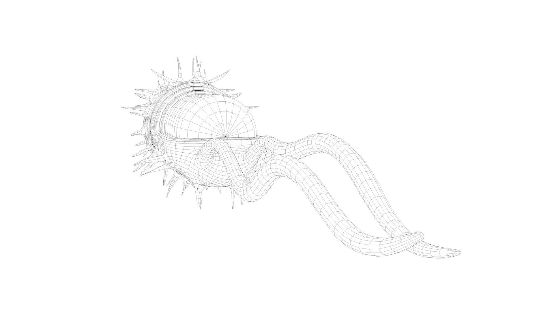 Bacterial Cell Structure 3D model_12