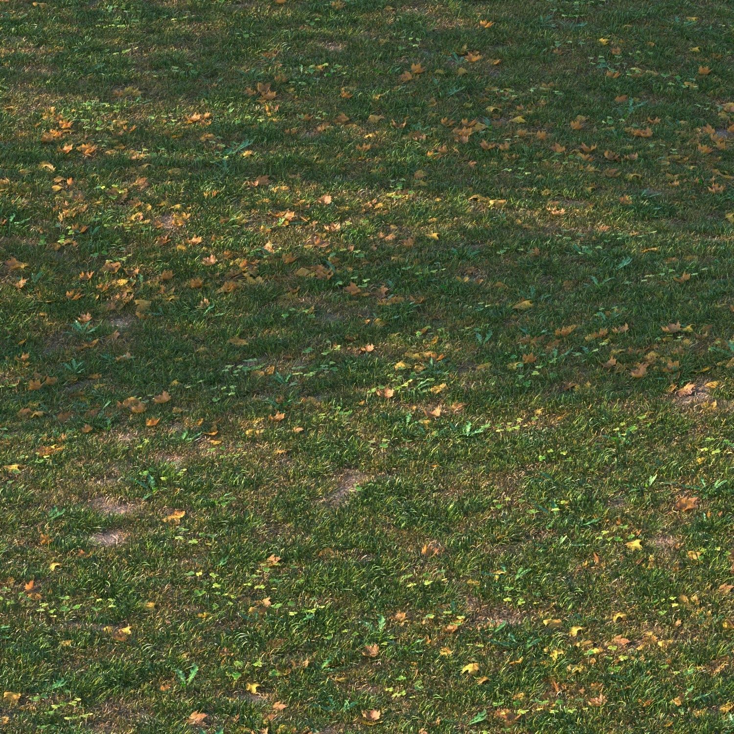 grass set05 with leaves 3D model_2