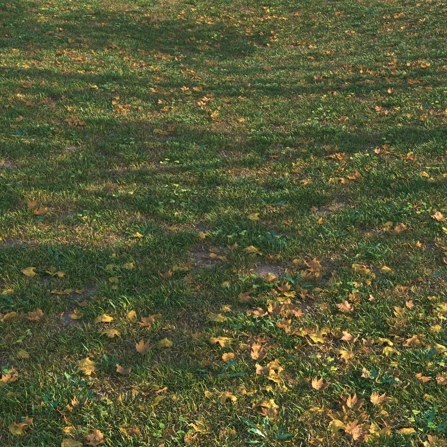 grass set05 with leaves 3D model_1