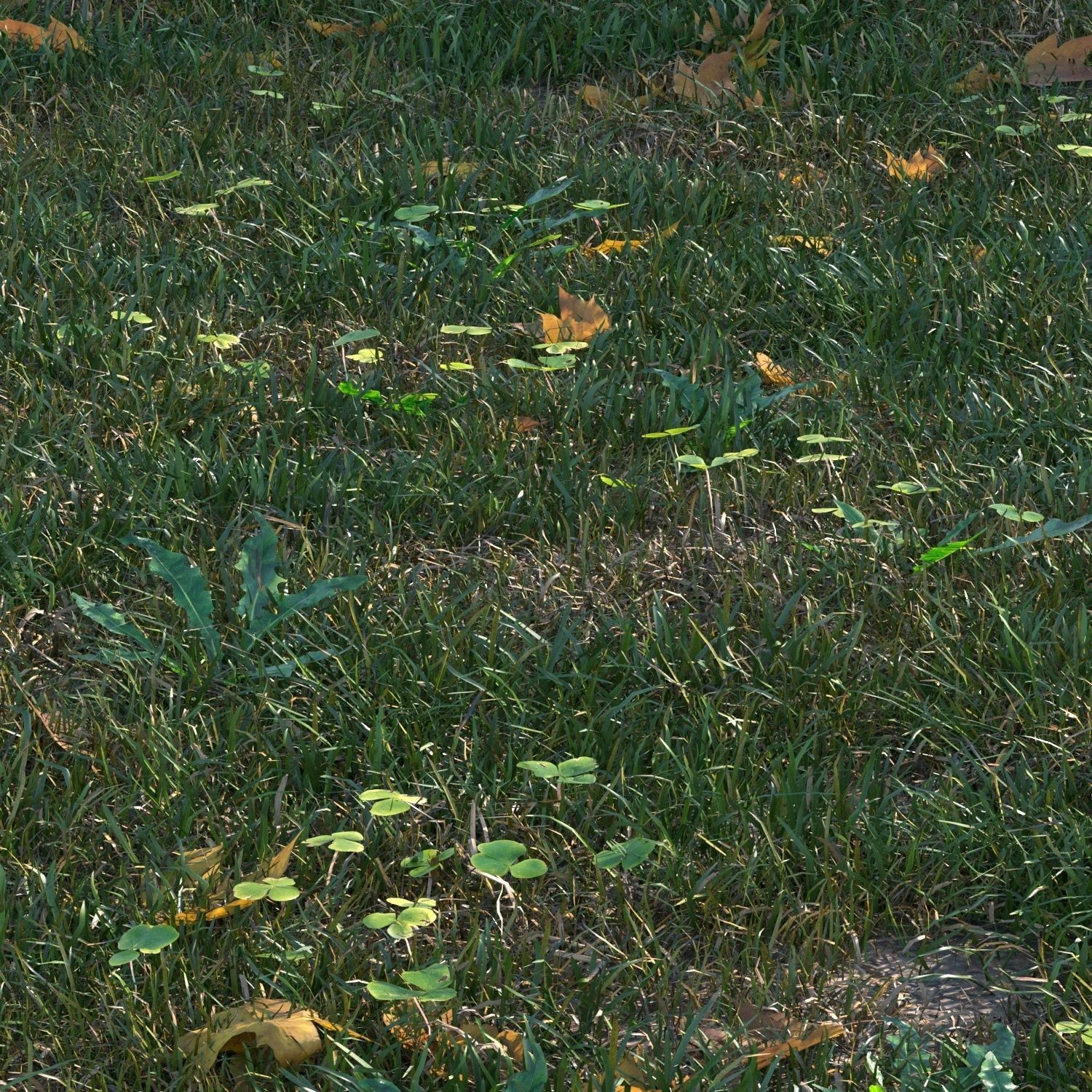 grass set05 with leaves 3D model_5