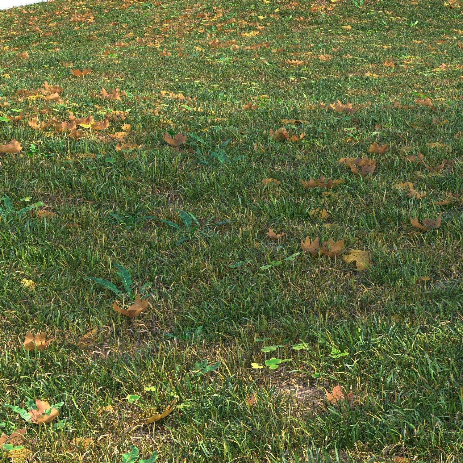 grass set05 with leaves 3D model_4