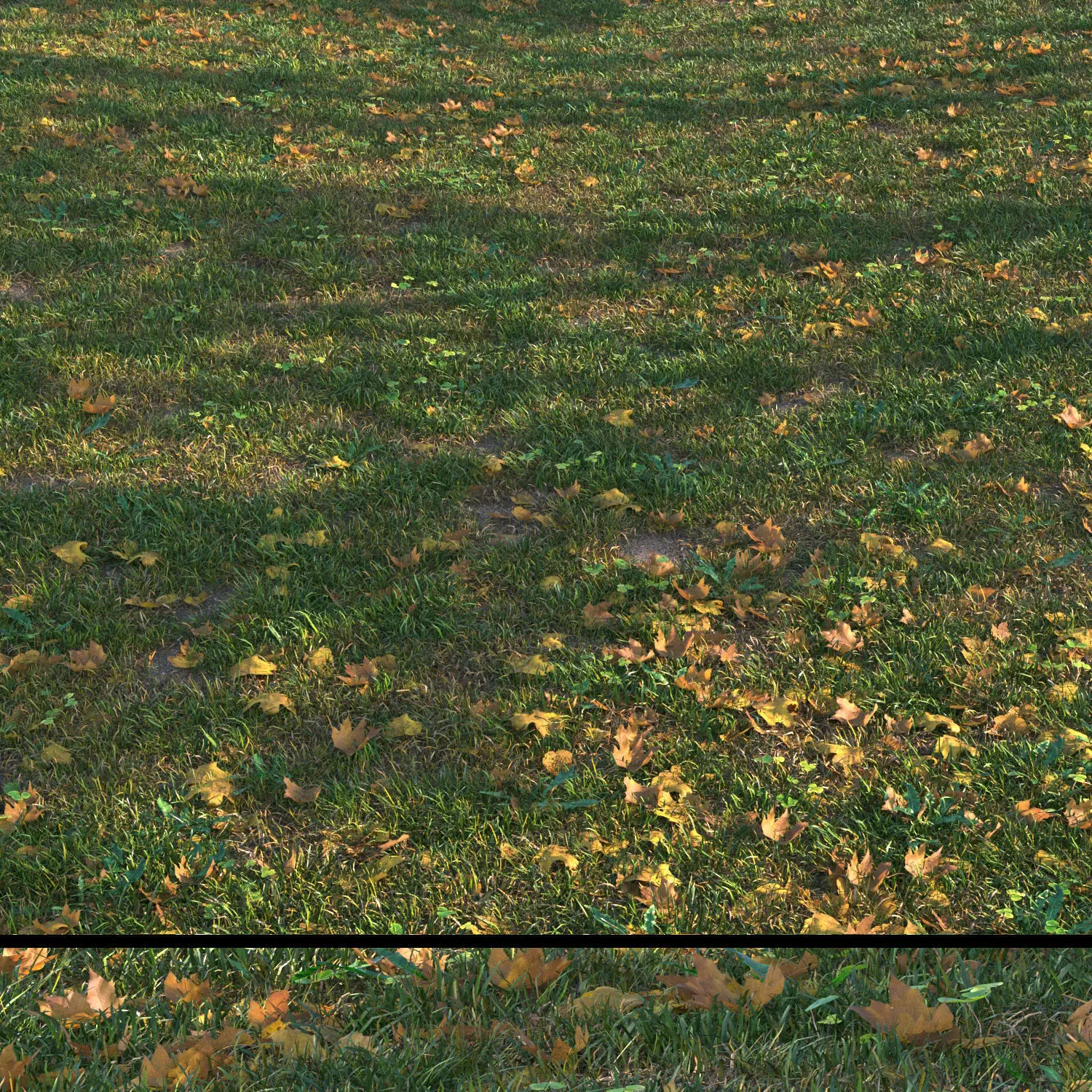 grass set05 with leaves 3D model_0