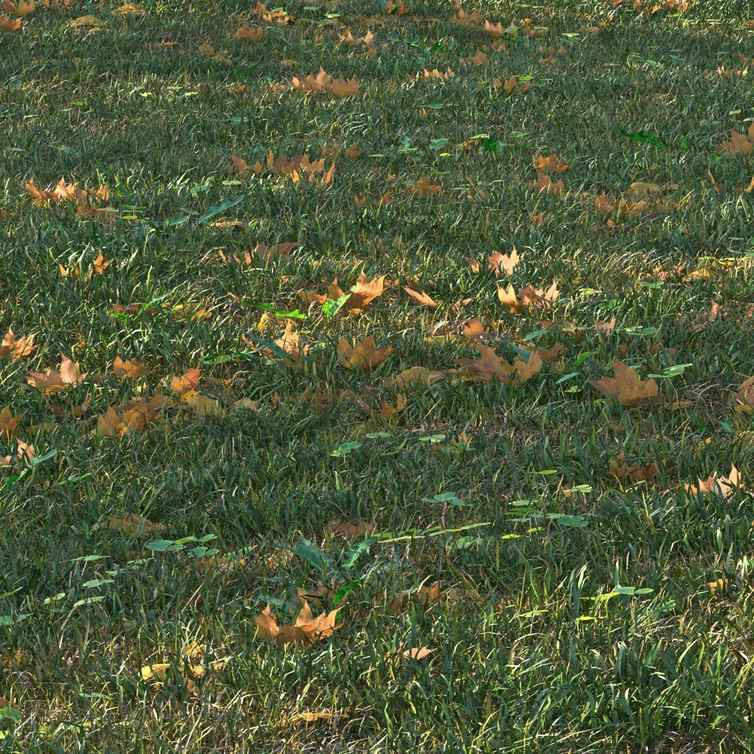 grass set05 with leaves 3D model_3
