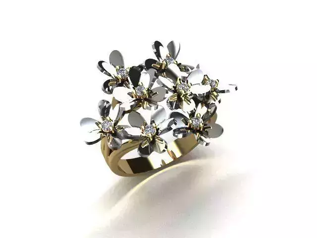 jewelry ring