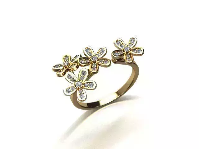 jewelry ring