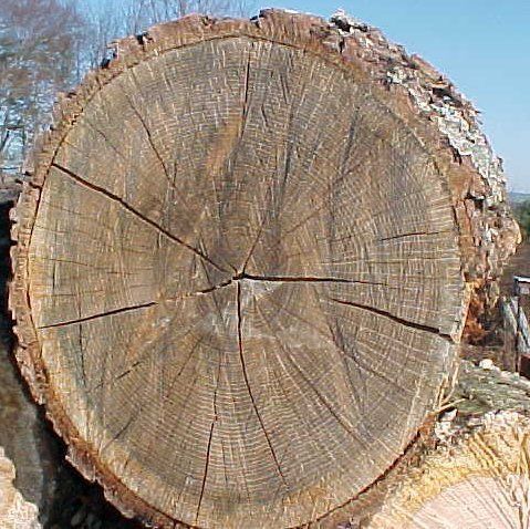 Villa Interior Design 3D model_12